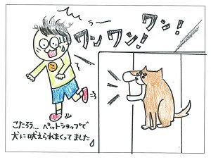 こたろう