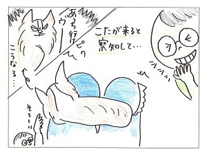 こたろう